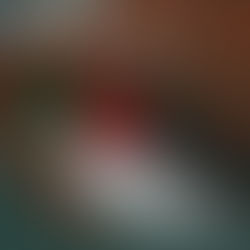 Francesco Bussotti - Soltanto Bene