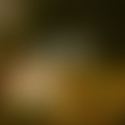 FRANCESCO BUSSOTTI - IO & TE