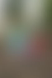 "Tra musica e metafore": intervista ai Cactus, la band che ha fatto dell' indie pop un marchio di fabbrica