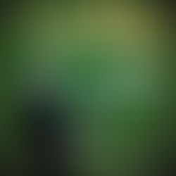 “The Best Movie Soundtracks Vol. 3 - Classic”MEDITERRANEAN ORCHESTRA conducted by BRUNO SANTORI