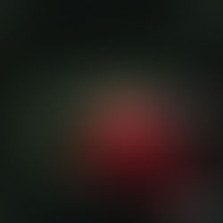 Paolo Carone: l’artista pugliese esce con la sua nuova ballad “FRANCESCA”