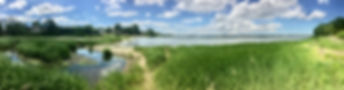 IMG_5374.jpeg