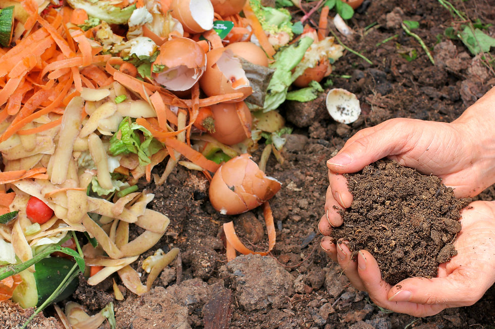Backyard compost heap breaking down garden waste and kitchen scraps.