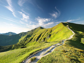 A hiking trail leading toward a mountain peak in the Carpathians at morning light, symbolizing motivation as a steady climb fueled by purpose.