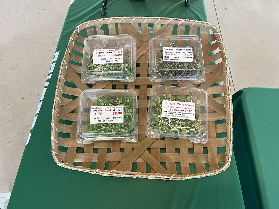 Thumbnail: Daily Powerhouse - Iron Mountain