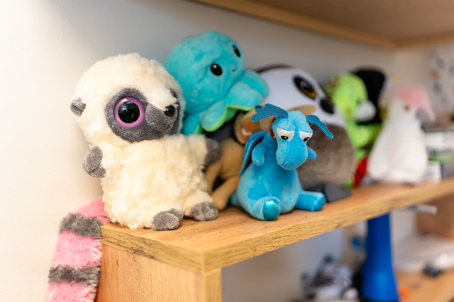 Stuffed animals sit on a shelf in a forensic examination room