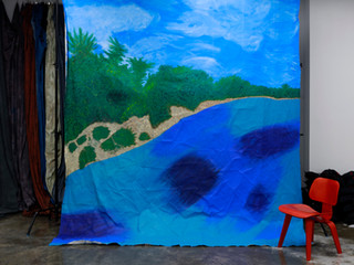 10' x 12' Custom Backdrop