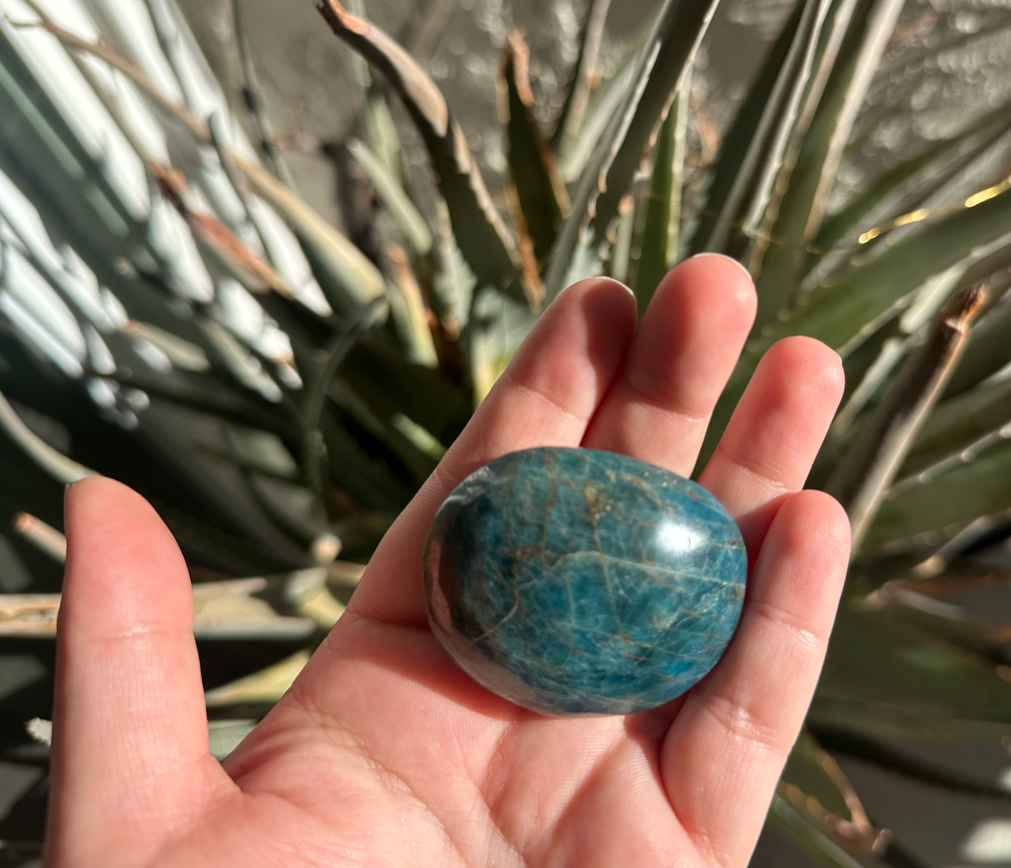 Blue Apatite Palmstone