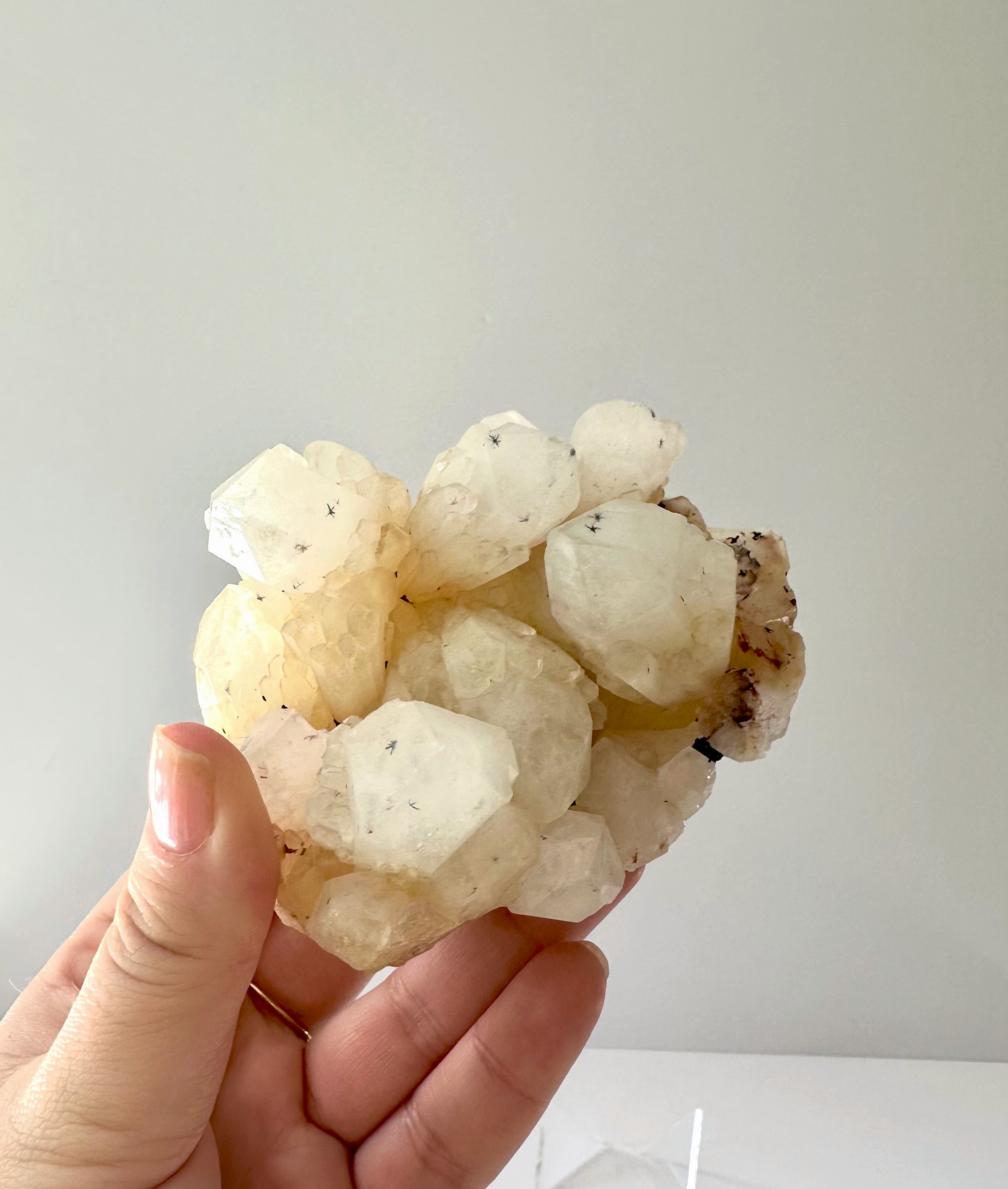 *RARE* Hollandite Clear Quartz Cluster