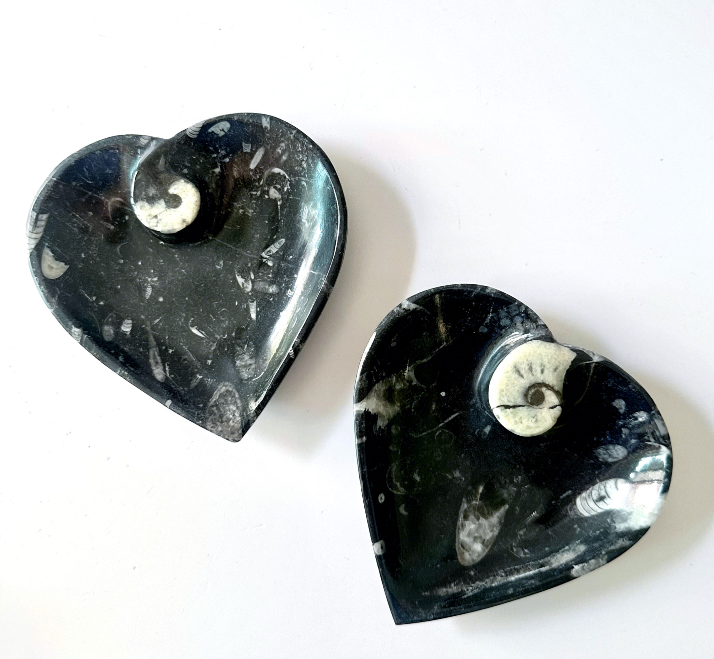 Orthoceras and Ammonite Heart Trinket Bowls