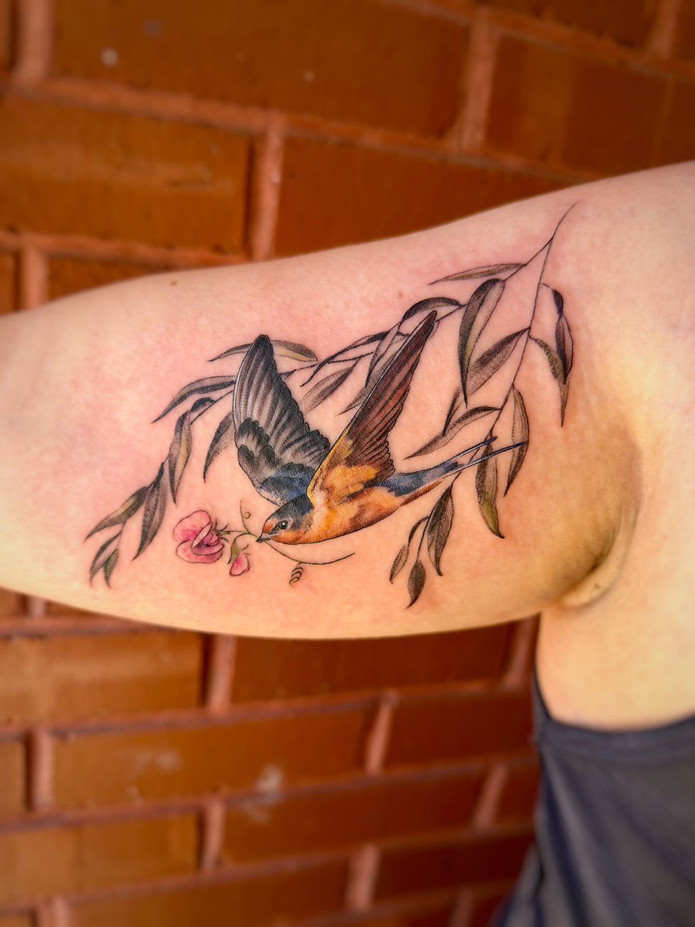 🌿Bookings open for Alex!🌸