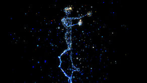 What can you do in the Metaverse, today?