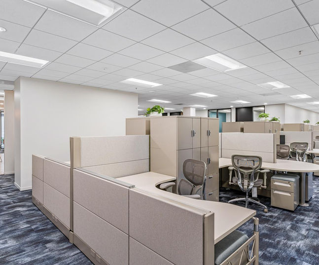 Office flooring and remodel