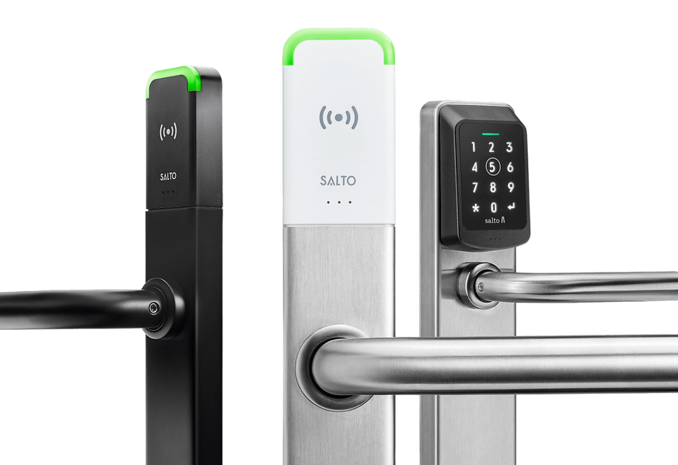 Blustar Security Fire Alarm and Access Control Systems