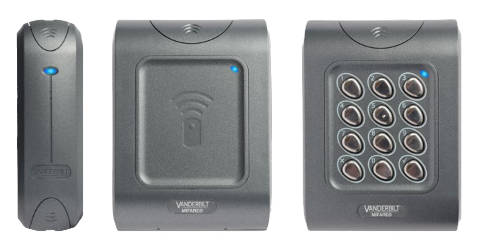 Blustar Security Fire Alarm and Access Control Systems