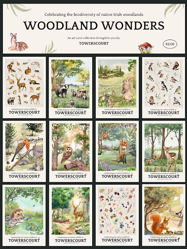 Screen Shot 2024-01-29 at 12.06.10.png