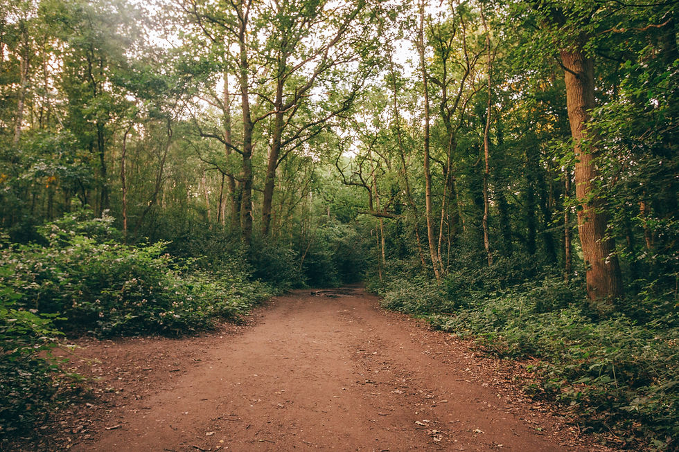 amy-burgess-zr1z9l8STvc-unsplash.jpeg