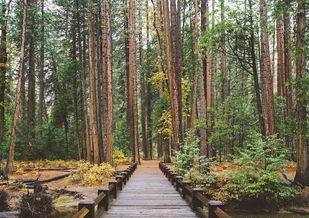 Mary Stobie, coach and psychotherapist in Ratoath, Co. Meath