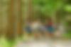 Campers (1)-min-min-min.jpg