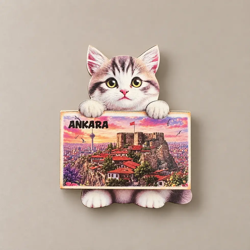 Ankara Kedi çift katlı magnet – By Bro Design