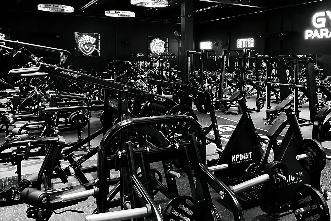 gym by npoint.webp