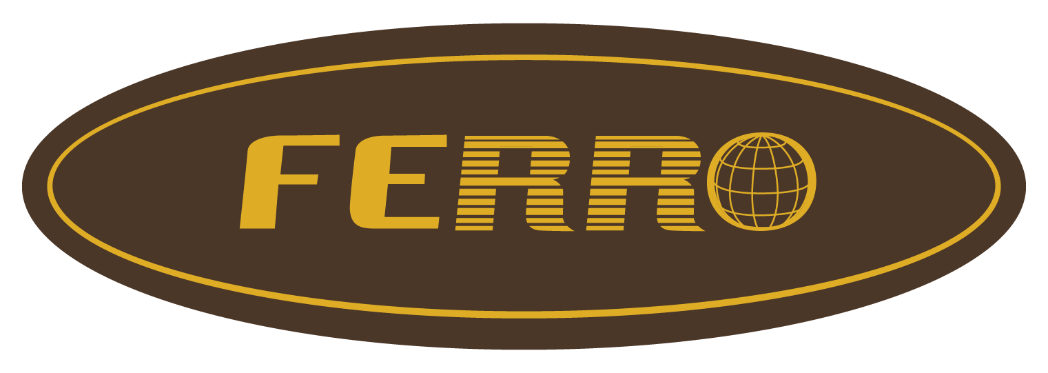 ferro logo globe.webp