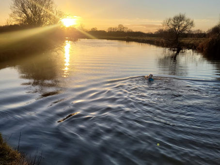 Launching River Thames Reflections: Dive into the project