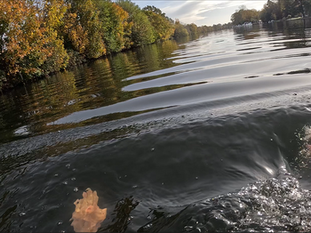 An Autumn of swim-along interviews 🍂