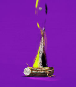 YuleLog 2015_BlinkMyBrain for VIMEO (0-00-15-02).jpg