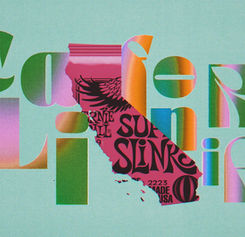 ErnieBall_SlinkyStory_Full (0-03-07-04).jpg