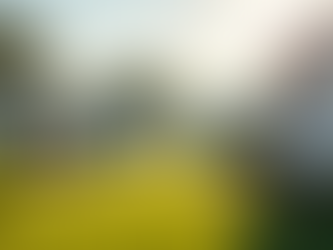 Key Differences Between Mobile Home Park Management and Apartment Management