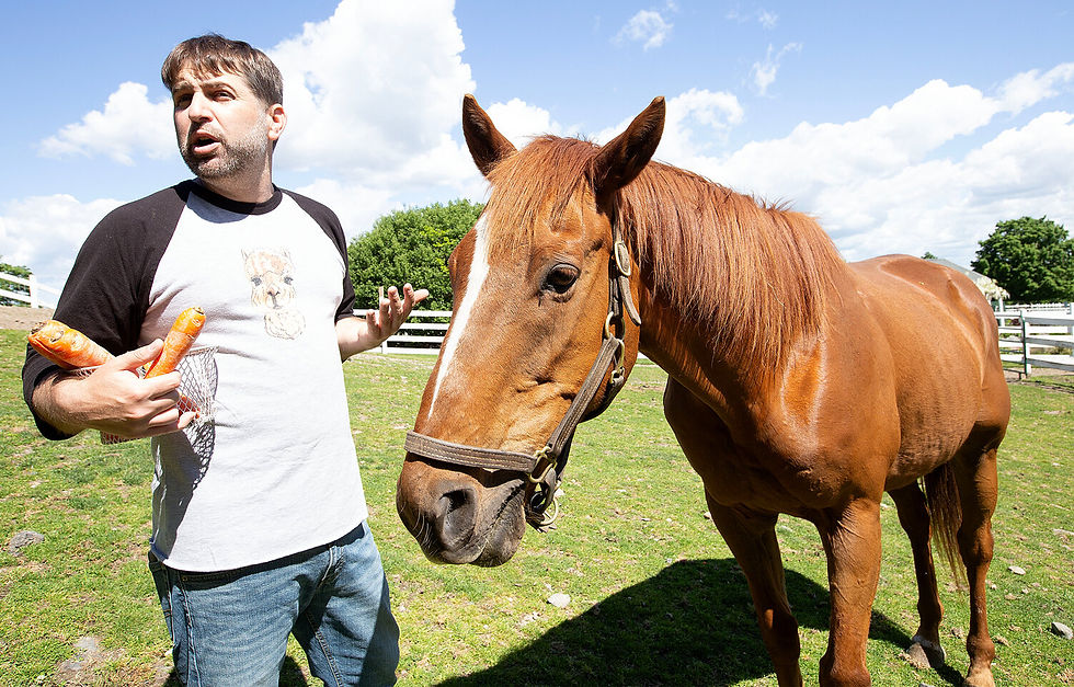 Happy, a rescued thoroughbred at West Place Animal Sanctuary, enjoys a carrot treat with Communications and Grants Director Patrick Cole.