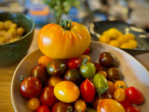 frische Tomaten aus dem Zeit Genusswerkstatt Garten für das vegetarische Menü im Monat August