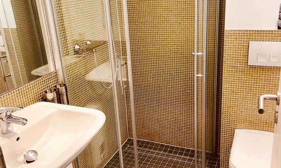 Blick in das kleine Badezimmer mit Dusche und WC. Die Wände sind mit kleine, goldenen Mosaikkachel gefliest.