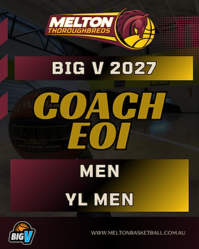 Big V.png