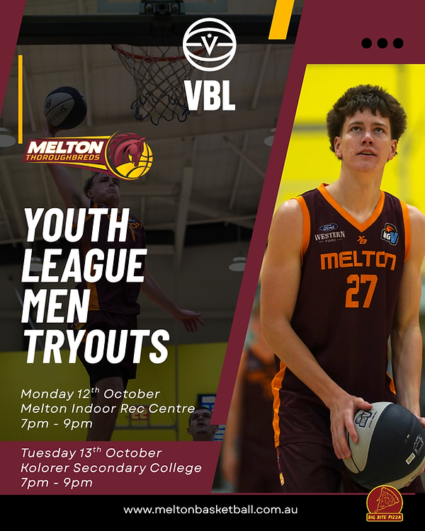 YL Tryouts 2027 (1).png