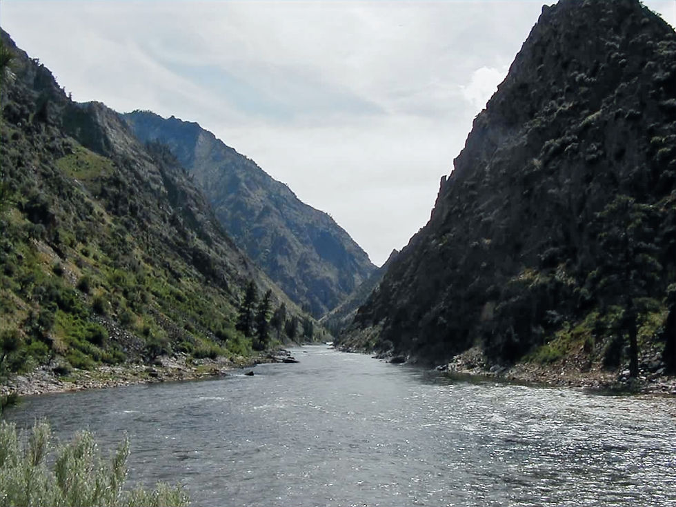 Salmon River, the "River of No Return" below Panther Creek.