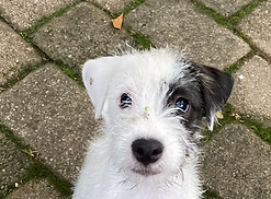 Leif Link_edited_edited.jpg