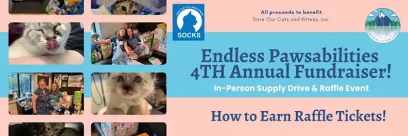 Wildcat Raffle How to Earn Raffle Tickets at the Endless Pawsabilities Fundraiser