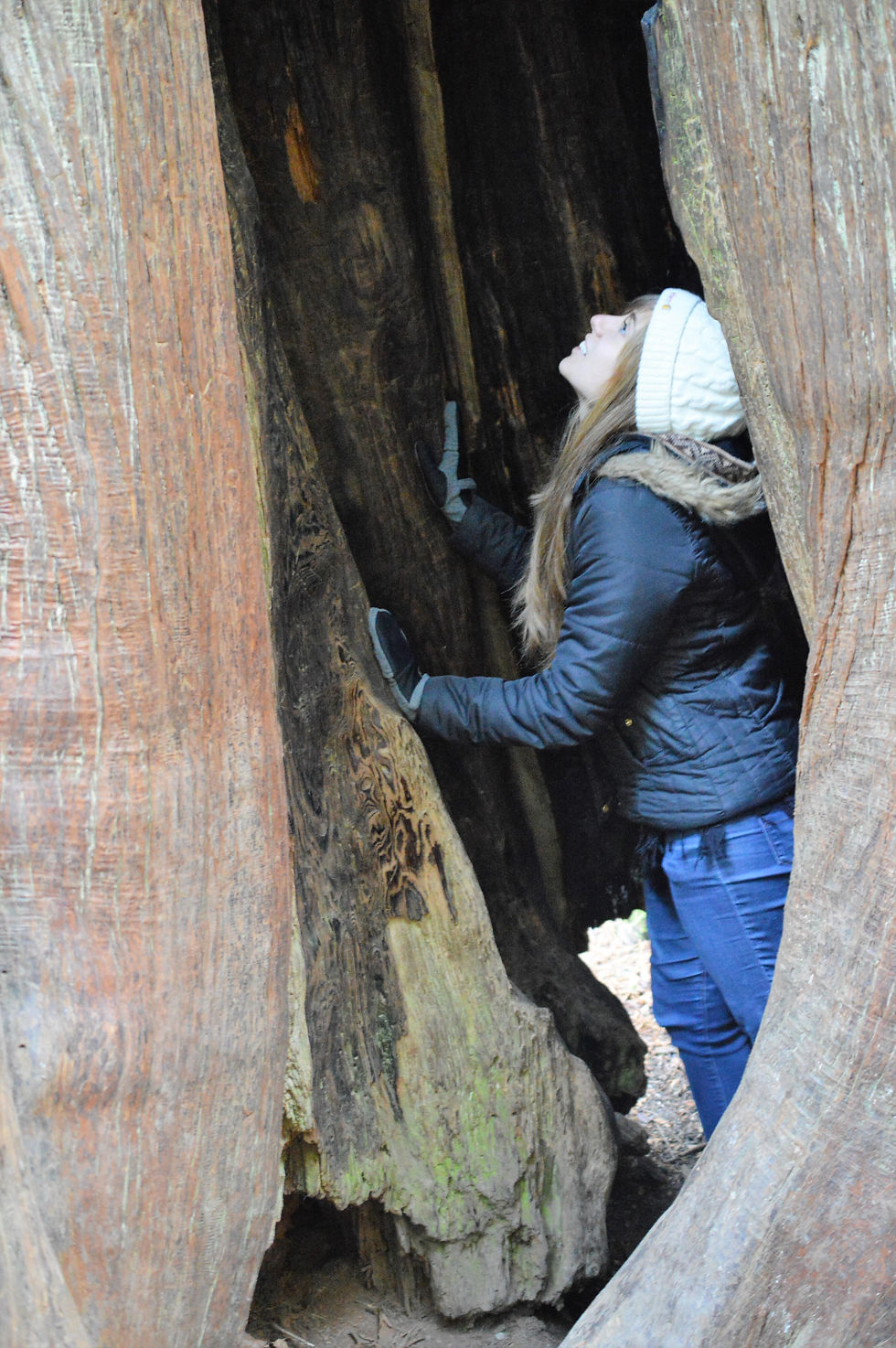 Chelsey at Cathedral Grove, Vancouver Island