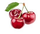 kisspng-cherry-computer-icons-clip-art-5af2384b87a305.1902673915258235635556-removebg-preview.png