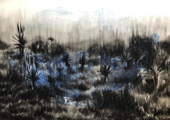 Rural Scene