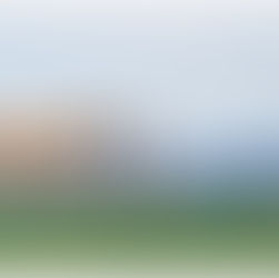 Frohes neues Jahr 2019!