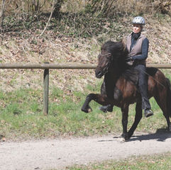 Ostern im Sattel: Reitstunden mit Bjarni auf der Ovalbahn.