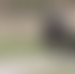 Ostern im Sattel: Reitstunden mit Bjarni auf der Ovalbahn.