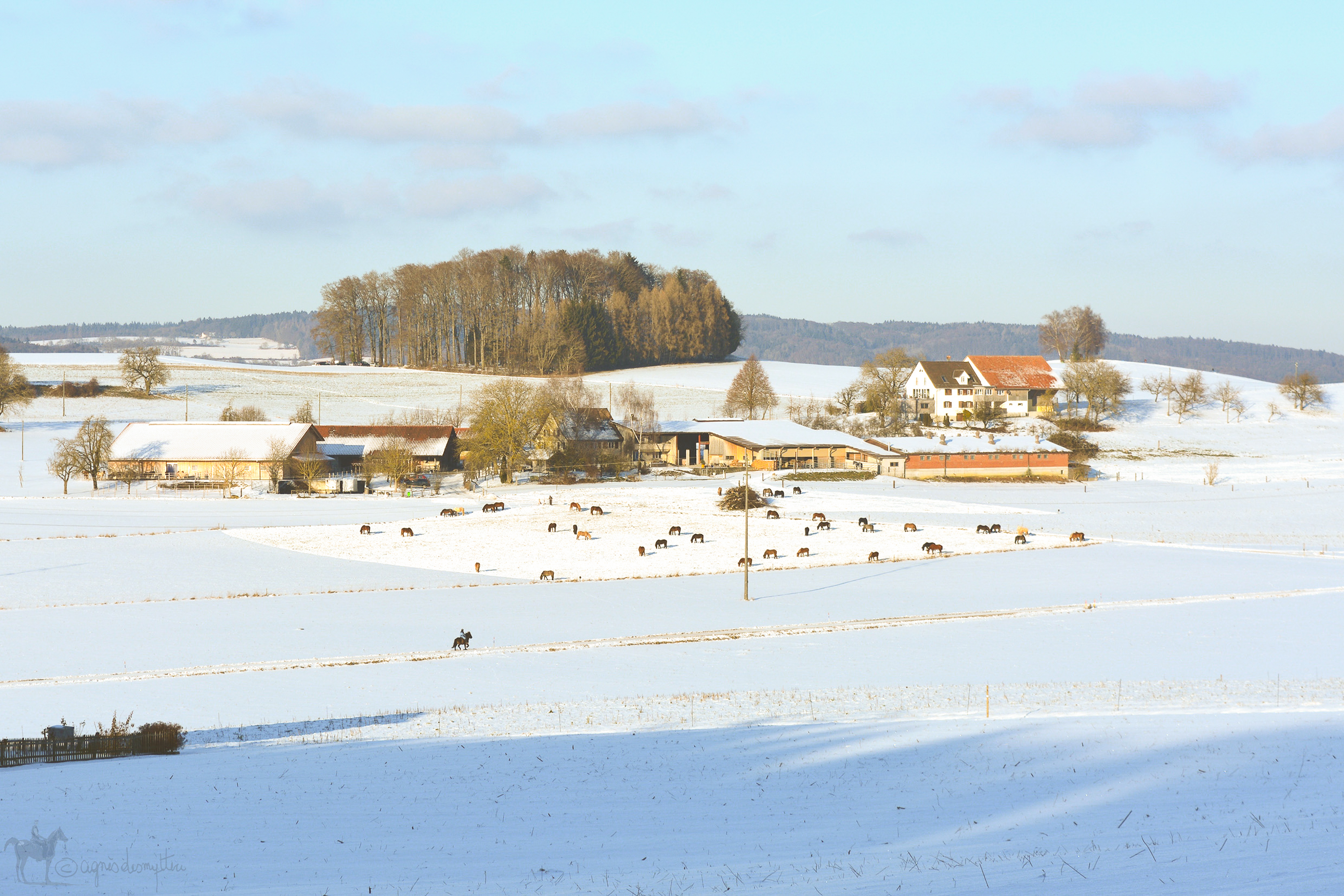 Unser Hof | Weierholz in Winter