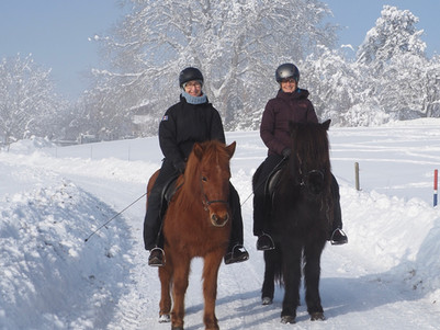 Winterzauber auf dem Seerücken