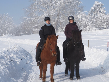 Winterzauber auf dem Seerücken
