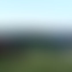 Erfolgreiches Alpenhof-Turnier 2019