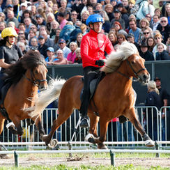 Unsere WM 2023 in Bildern